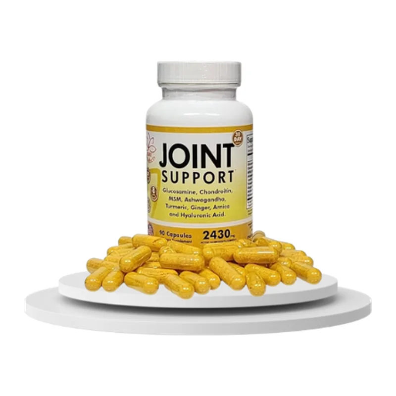 Joint Support Glucosamine, Chondroitin & MSM, 90 Capsules — Main Products